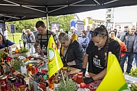 Bell BBQ Masters Finale 2024