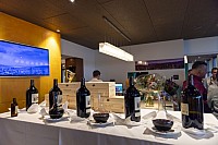 100 Jahre Drwag