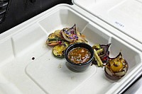 2025 Bell BBQ Master Qualifikation